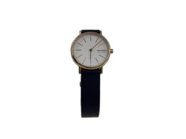 Reloj Pulsera Señora Skagen Signatur skw2838