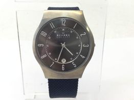 reloj pulsera caballero skagen 233xlttm