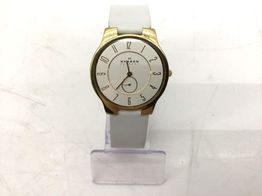 reloj pulsera señora skagen 433lgl1