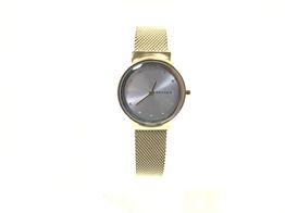 reloj pulsera señora skagen skw2717