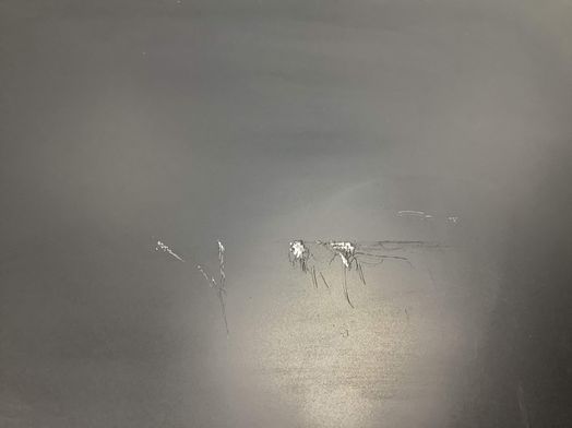 reproductor grabador dvd samsung dvd-sh893