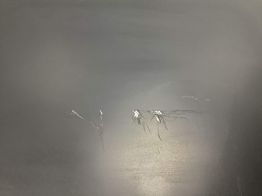 reproductor grabador dvd samsung dvd-sh893