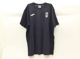 ropa baloncesto joma