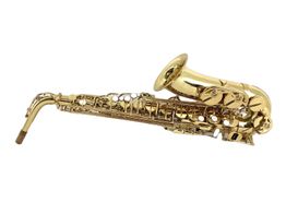 saxofon the horn classic ii