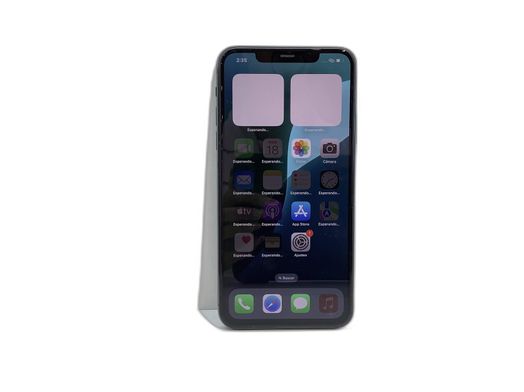 apple iphone 11 pro max 256gb