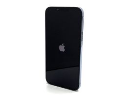 apple iphone 13 pro max 1tb