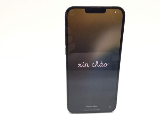 apple iphone 13 pro max 1tb