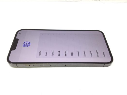 apple iphone 13 pro max 1tb