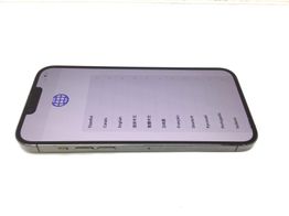 apple iphone 13 pro max 1tb