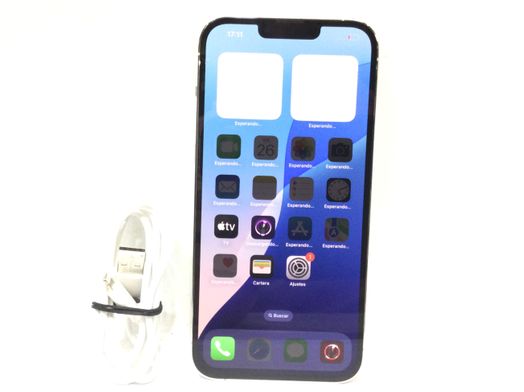 apple iphone 13 pro max 1tb
