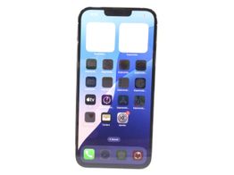 apple iphone 13 pro max 1tb