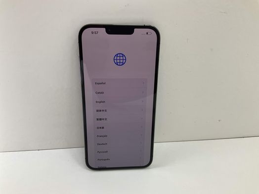 apple iphone 13 pro max 256gb