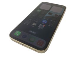 apple iphone 13 pro max 256gb