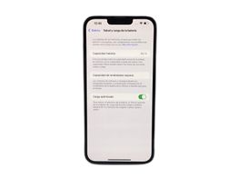 apple iphone 13 pro max 256gb