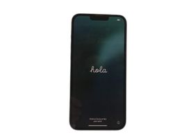 apple iphone 13 pro max 256gb