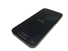 apple iphone 13 pro max 256gb
