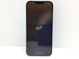 apple iphone 13 pro max 256gb