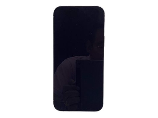 apple iphone 13 pro max 256gb