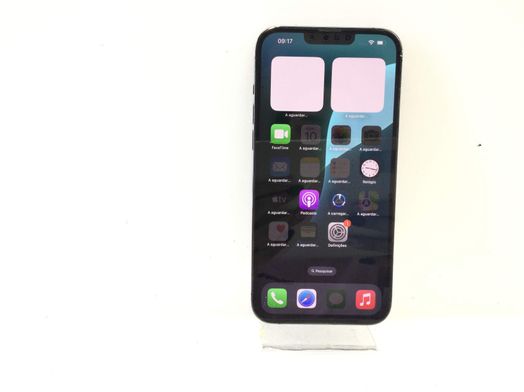 apple iphone 13 pro max 256gb