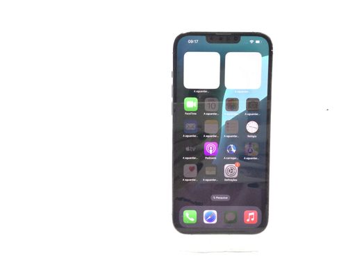 apple iphone 13 pro max 256gb