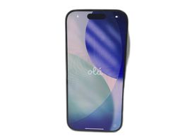 apple iphone 16 pro 256gb