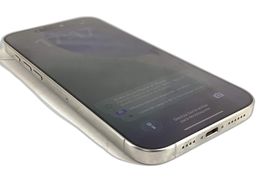 apple iphone 16 pro max 256gb