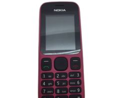 nokia 100