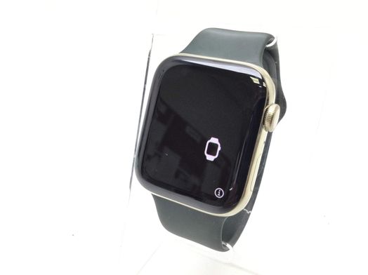 apple watch edition series 6 44mm (gps 4g) (a2376) titanio