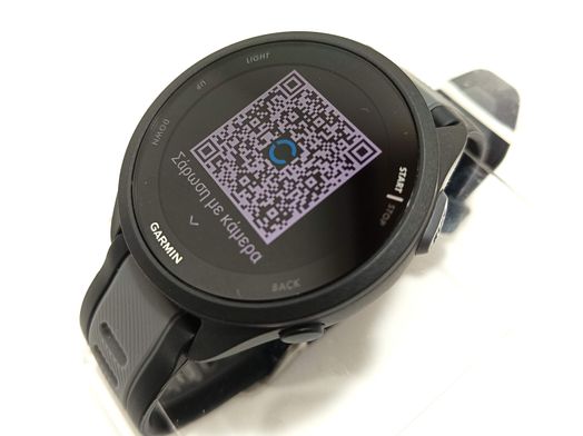garmin forerunner 165