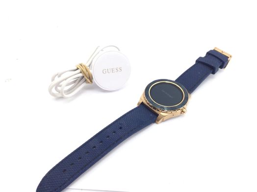 guess c1001g2