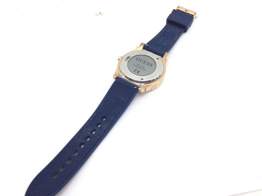 guess c1001g2