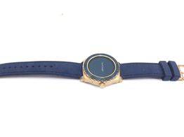 guess c1001g2