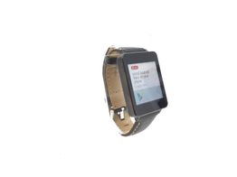 lg g watch w100