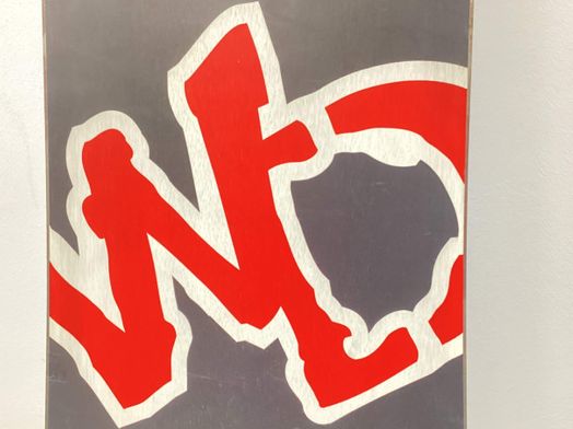 snowboard wild duck vertical