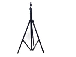 trip&eacute; nao tem nao tem