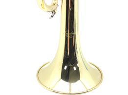 trompeta amadeus tr600