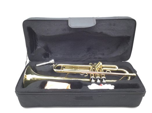 trompeta amadeus tr600