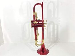 trompeta roy benson tr-101r