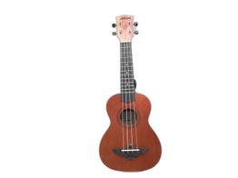 ukelele aklot aks21