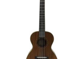 ukelele alvarez au90t