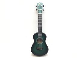 ukelele winzz concierto