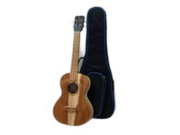 ukulele apc ts