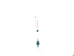 vaporeta di4 steamclean