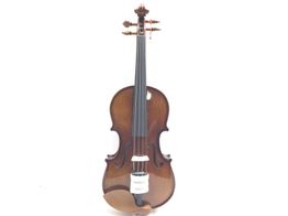 viola cervini hva50012