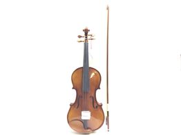viola cervini hva50014