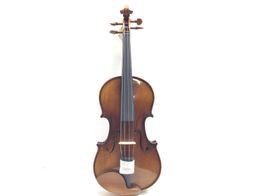 viola cervini hva50015