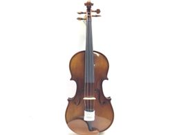 viola cervini hva50016