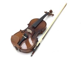 viola cervini hva500