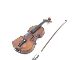 viola cervini hva500
