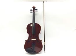 viola corina dueto 16